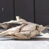 Décoration poisson en bois flotté