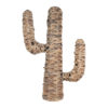 Cactus moyen naturel
